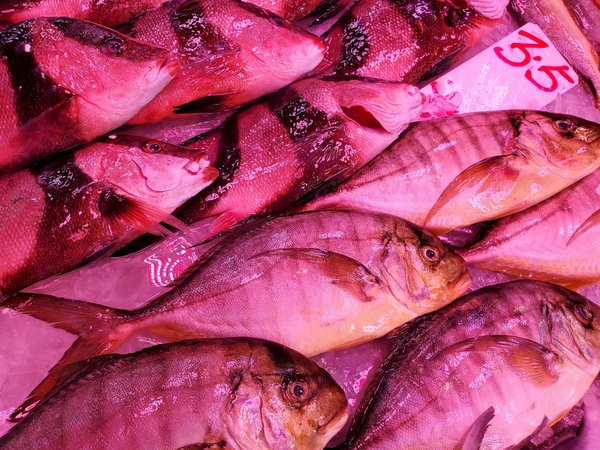 Les boissons détox dans votre régime : miracle minceur ou simple tendance ?